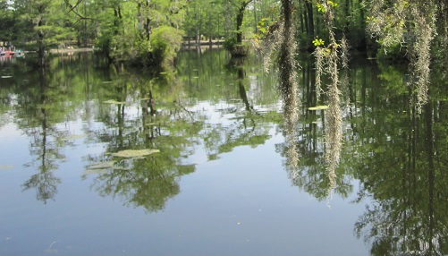Greenfield Lake at Wilmington NC